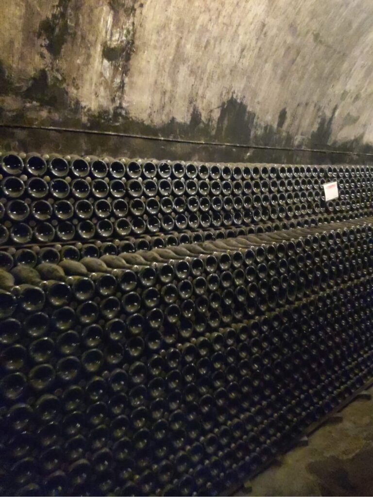 Винные бутылки в тоннелях винодельни Абрау-Дюрсо Винные бутылки в тоннелях винодельни Абрау-Дюрсо