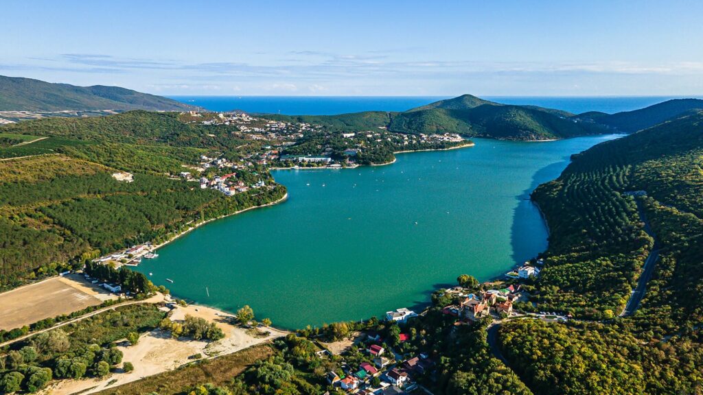 Виноградники у моря в Краснодарском крае Виноградники у моря в Краснодарском крае